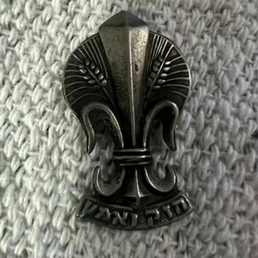 🐻VTG Israel Pin Badge Scouts 'The Scouts' an old pin badge 1960